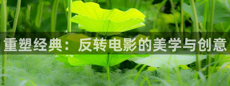 新视觉影视三级