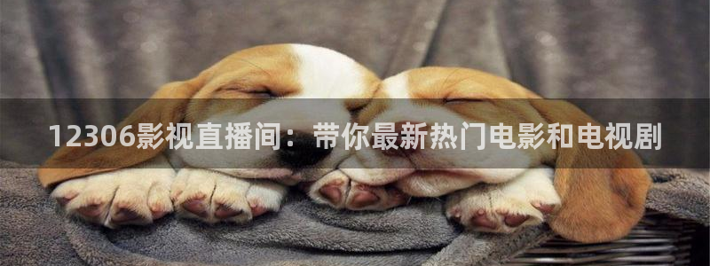 yy6080新视觉影院私人影院