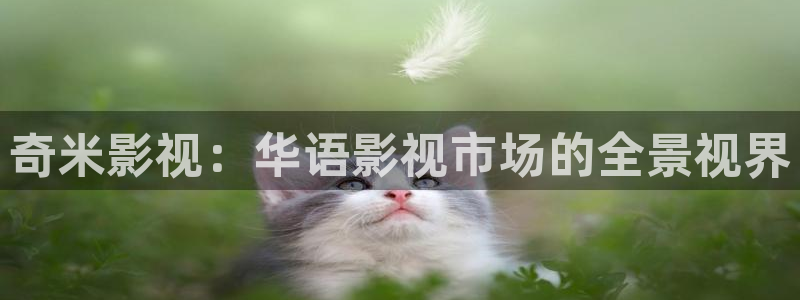 新视觉影视y6080