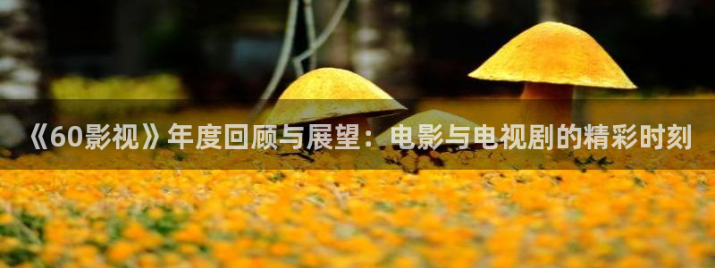 新视觉yy6090免费高清电视
