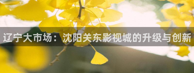 新视觉剧院