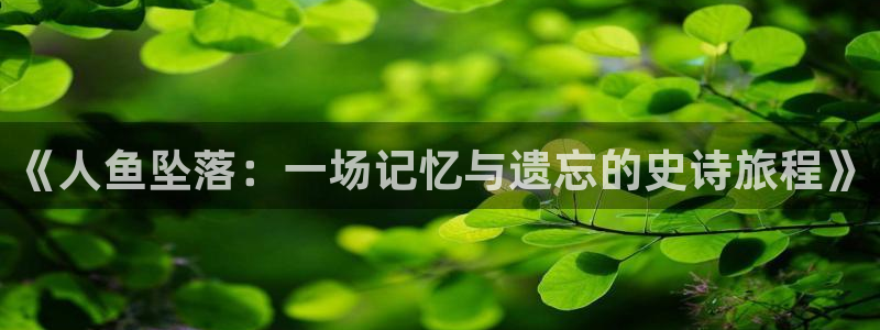 yy6029新视觉电影大全