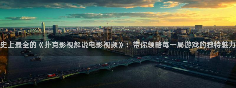 新视觉在线