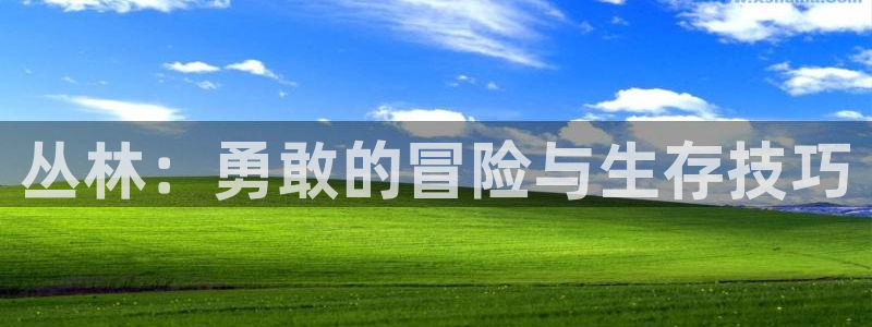 新视觉6068