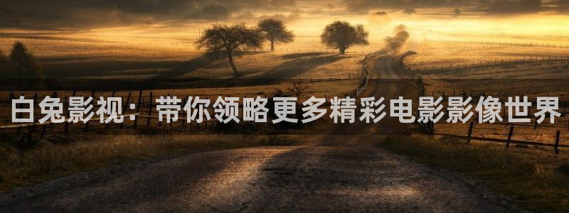 新视觉yy6080电视剧