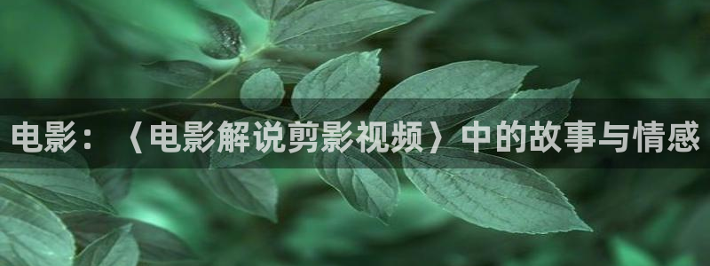 新视觉影视有限公司