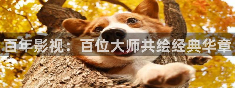 6080新视觉电影网播放