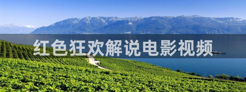 6080新视觉电影电视剧在线观