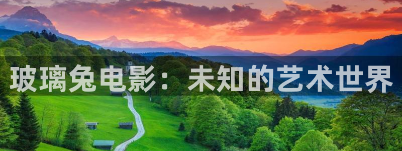 8060新视觉电影大全