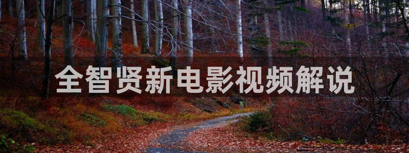 新视觉影院播放器