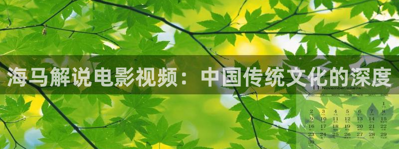 新视觉手机影院