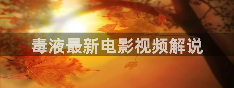 yy6080新视觉影院在线