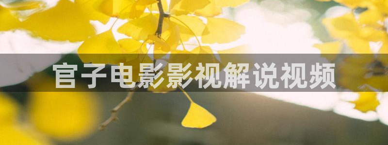 yy8090新视觉免费观看电视剧大全