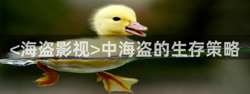 新视觉免费看