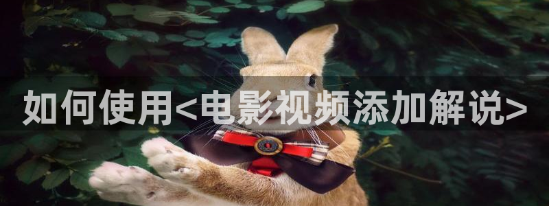 新视觉影视电视剧免费观看