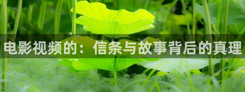 新闻图片