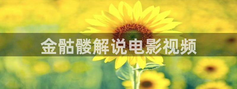 新视觉伦理影院6080